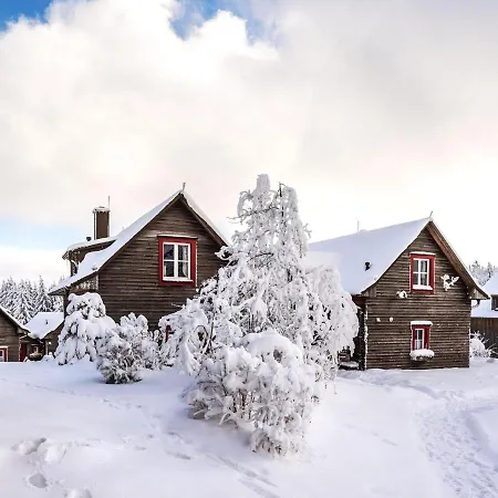 Ferienhaeuser, Harz Holiday home Torfhaus