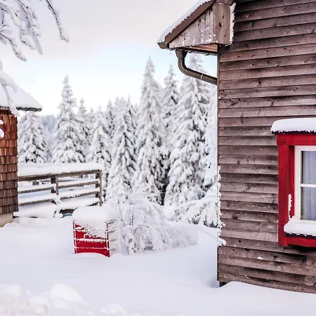 Ferienhaeuser, Harz Torfhaus